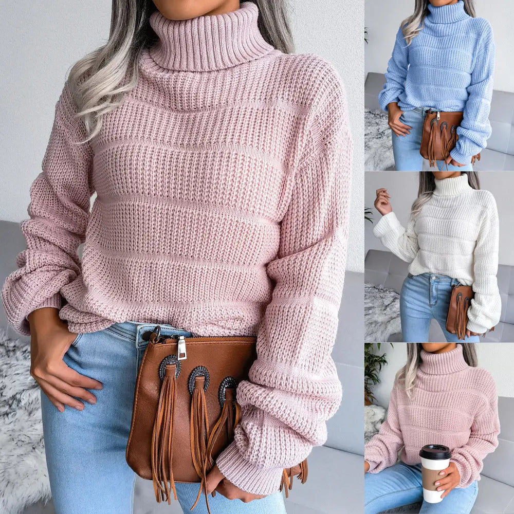 Eloria Luxe Turtleneck Sweater EvolvMode