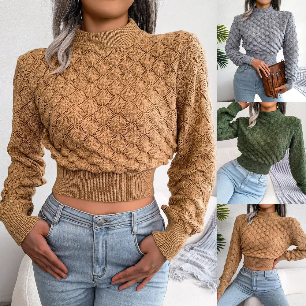 Elviera Textured Knit Crop Sweater EvolvMode